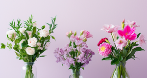 The Essential Flower Care Guide for Long-lasting Blooms